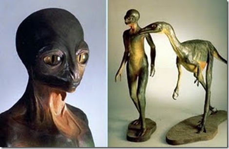 Descendant-troodon