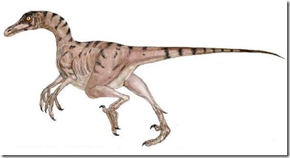 troodon