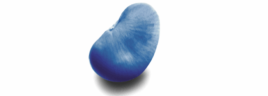 blue bean