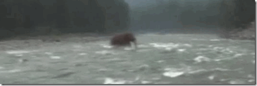 mamut