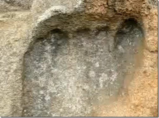 8428footprint