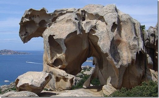 roca del oso