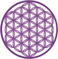 flor vida
