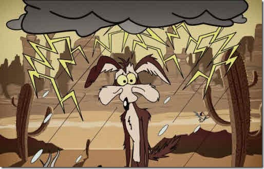 coyote