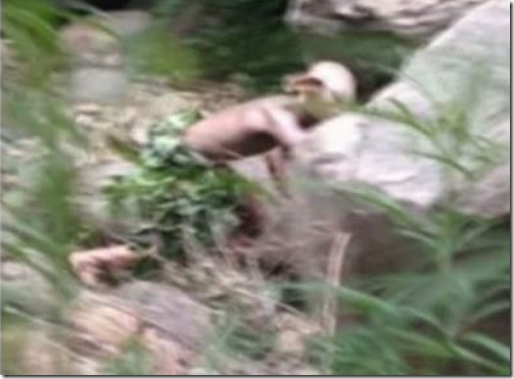 gollum4