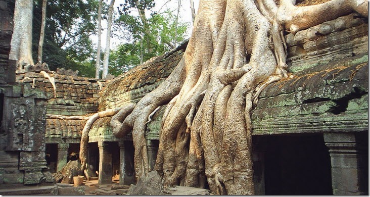 Ta Prohm
