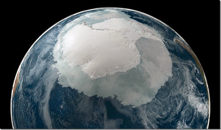 antartico