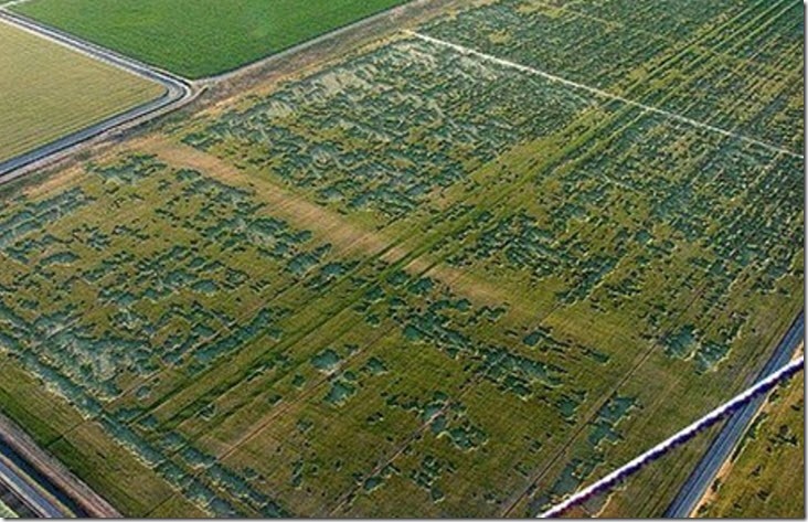 kranodar