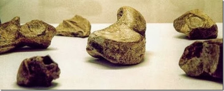 rocas