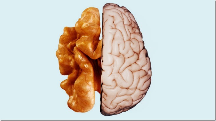 cerebro